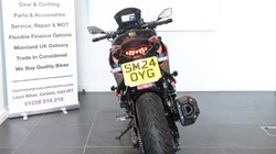 2024 (24) Kawasaki Ninja Z1000 SX 40th Anniversary Edition 5643949