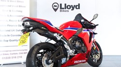 2026 (26) Honda CBR600RR 5957436