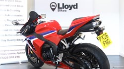2026 (26) Honda CBR600RR 5957434
