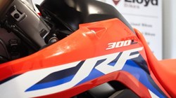 2024 (24) Honda CRF300L 5741320