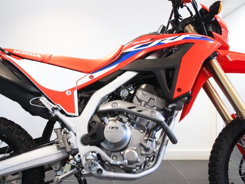 2024 (24) Honda CRF300L 5741314