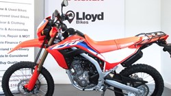 2024 (24) Honda CRF300L 5741304