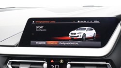 2023 (23) BMW 1 SERIES M135i xDrive 5dr Step Auto 5990737