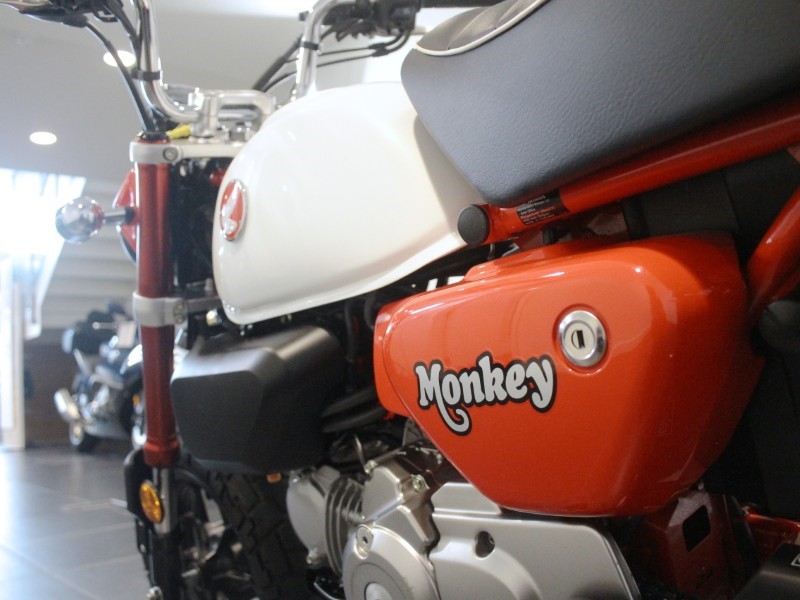2025 (25) Honda Z125 Monkey 5907218