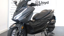 2025 (75) Honda NSS125 Forza 5933814