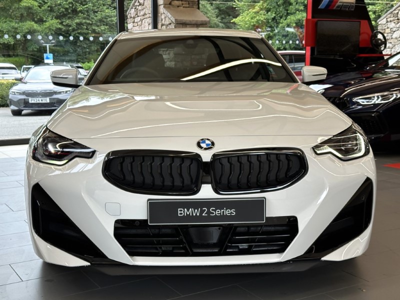  BMW 2 SERIES 220i M Sport 2dr Step Auto 3389394