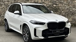 BMW X5 xDrive50e M Sport 5dr Auto 5313593