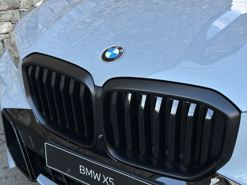  BMW X5 xDrive40d MHT M Sport 5dr Auto 4803569