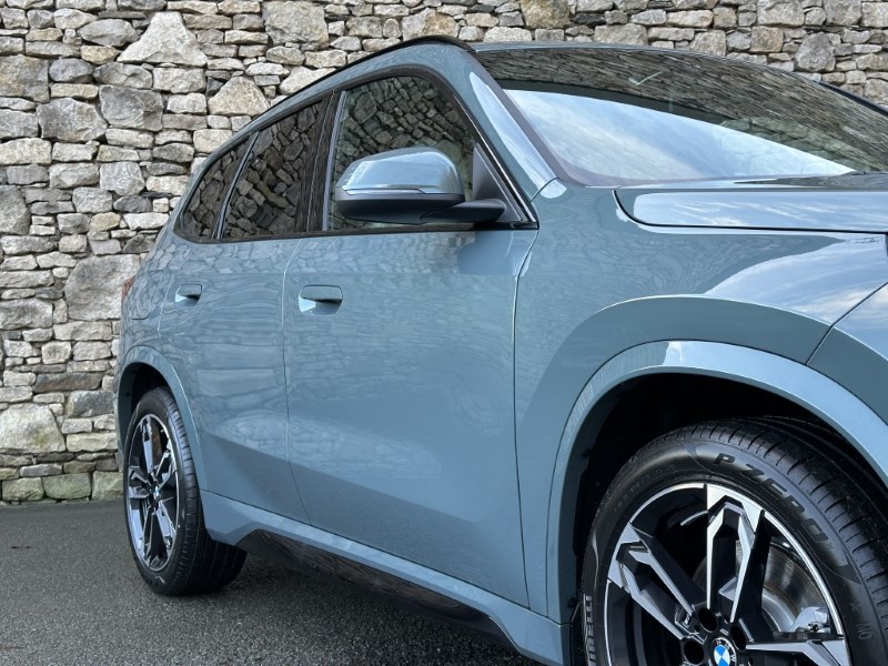  BMW X1 sDrive20i M Sport 4955410