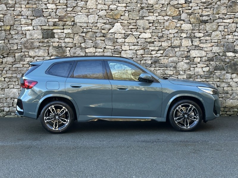  BMW X1 sDrive20i M Sport 4955346