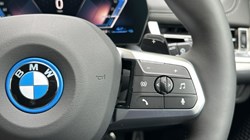 BMW X1 xDrive 25e M Sport 5dr Step Auto 5391943