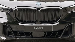 BMW X5 xDrive50e M Sport 5dr Auto 5531047