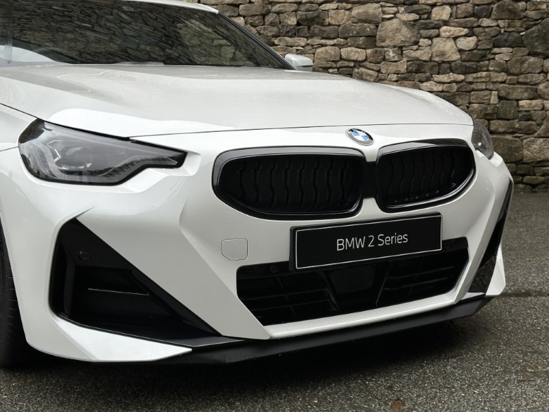  BMW 2 SERIES 220i M Sport Pro 2dr Step Auto 5929850