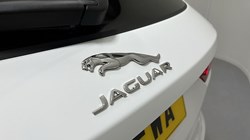 2021 (21) JAGUAR F-PACE 2.0 D200 R-Dynamic S 5dr Auto AWD 3055460