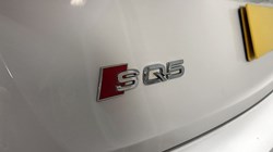 2018 (18) AUDI Q5 S Quattro 5dr Tip Auto 3137249