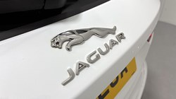 2021 (71) JAGUAR F-PACE 2.0 D200 R-Dynamic SE 5dr Auto AWD 3454540