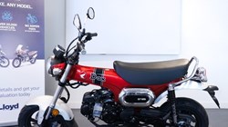 Honda ST125 Dax 3057289