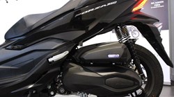 Honda NSS350 Forza 3682999