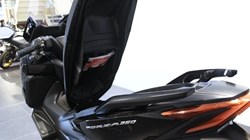 Honda NSS350 Forza 3683002