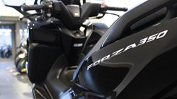 Honda NSS350 Forza 3682998