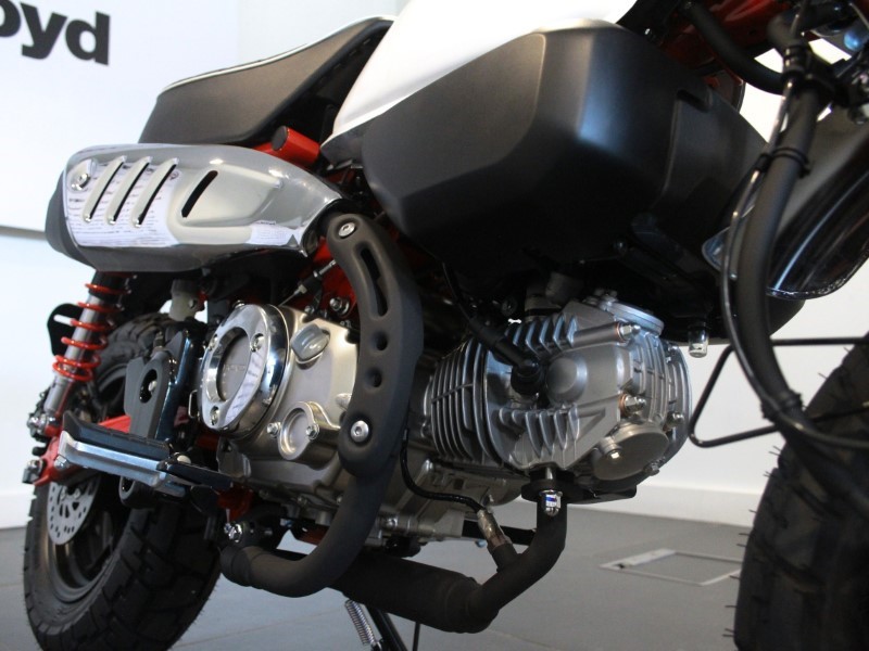  Honda Z125 Monkey 4322992