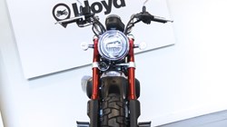 Honda Z125 Monkey 4322997