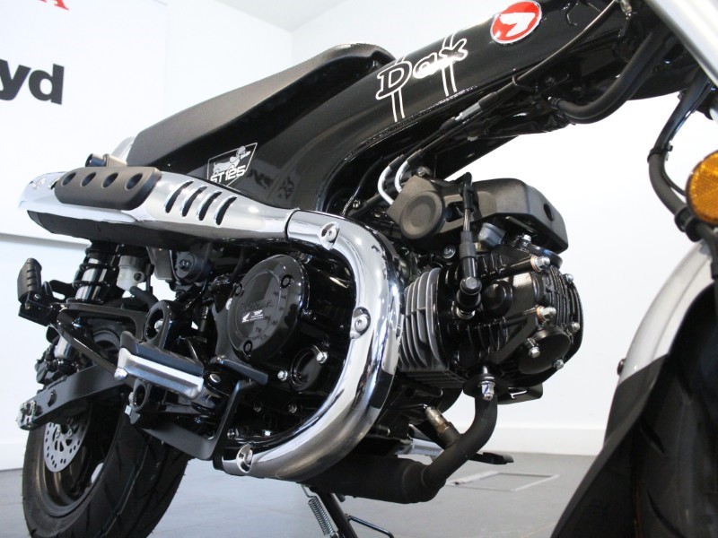  Honda ST125 Dax 4509919