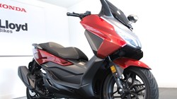 Honda NSS350 Forza 4710442