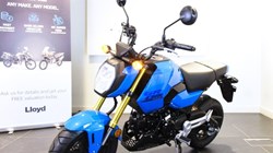 Honda MSX125 Grom 4892020