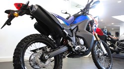 Honda CRF300 Rally 4931403