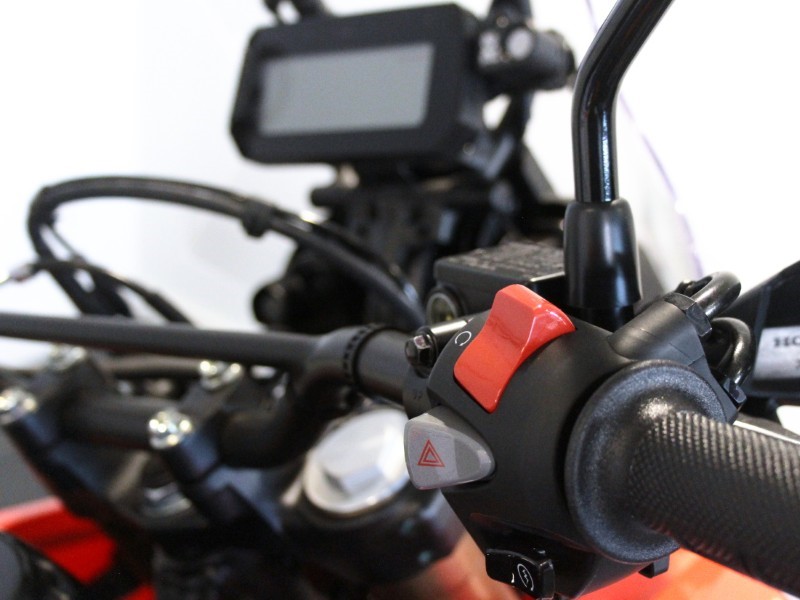  Honda CRF300 Rally 4931401