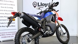 Honda CRF300 Rally 4931394