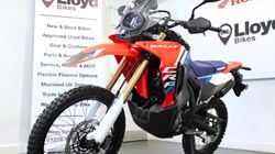 Honda CRF300 Rally 4931405