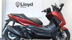 Honda NSS350 Forza 5420640