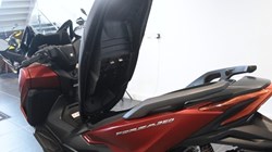Honda NSS350 Forza 5420665