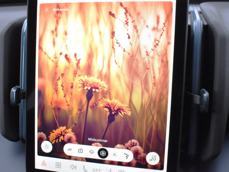 2025 (75) VOLVO EX30 315kW Twin Motor Performance Plus 69kWh 5dr Auto 4889339