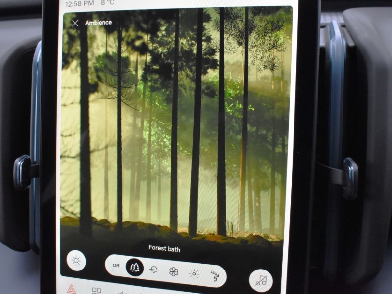 2025 (75) VOLVO EX30 315kW Twin Motor Performance Plus 69kWh 5dr Auto 4889337