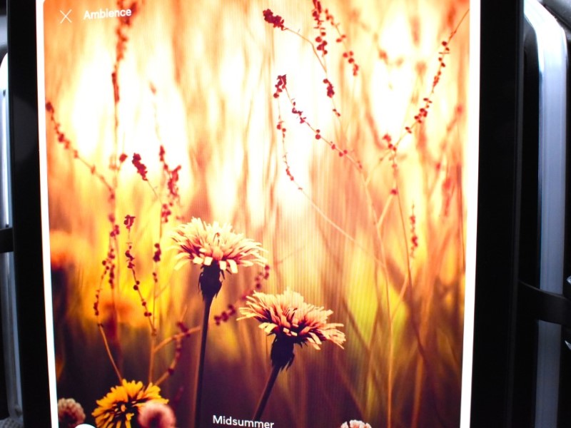 2024 (24) VOLVO EX30 200kW Single Motor Plus 51kWh 5dr Auto 4879112