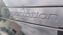 2019 (19) VOLVO XC40 1.5 T3 Inscription 5dr 5681760