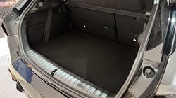 BMW 1 SERIES 120 M Sport 5dr Step Auto 4952394