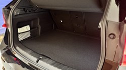 BMW X1 xDrive 25e M Sport 5dr Step Auto 5037198