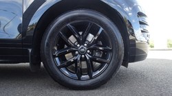 2025 (74) LAND ROVER RANGE ROVER EVOQUE 1.5 P270e Dynamic SE 5dr Auto 4552988