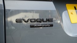 2021 (21) LAND ROVER RANGE ROVER EVOQUE 1.5 P300e Autobiography 5dr Auto 4928703