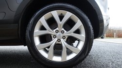 2021 (21) LAND ROVER RANGE ROVER EVOQUE 1.5 P300e SE 5dr Auto 4942374