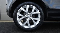 2021 (21) LAND ROVER RANGE ROVER EVOQUE 1.5 P300e SE 5dr Auto 4942371