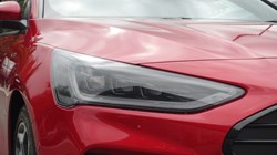 2025 (75) FORD FOCUS 1.0 EcoBoost Hybrid mHEV 155 ST-Line X 5dr Auto 5687198