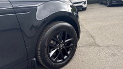 2025 (25) LAND ROVER RANGE ROVER EVOQUE 1.5 P270e Edition 5dr Auto 4547176