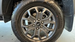 2024 (74) FORD COMMERCIAL RANGER Pick Up Double Cab Wildtrak 2.0 EcoBlue 205 Auto 3594283