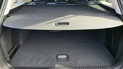 2023 (23) FORD FOCUS 1.0 EcoBoost Hybrid mHEV Active X 5dr Auto 4599206