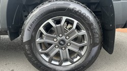 2024 (74) FORD COMMERCIAL RANGER Pick Up Double Cab Wildtrak 2.0 EcoBlue 205 Auto 4704015